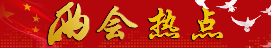 與你相關(guān)！政府工作報告釋放了什么教育信號？聽代表委員為你解讀 | 兩會熱點