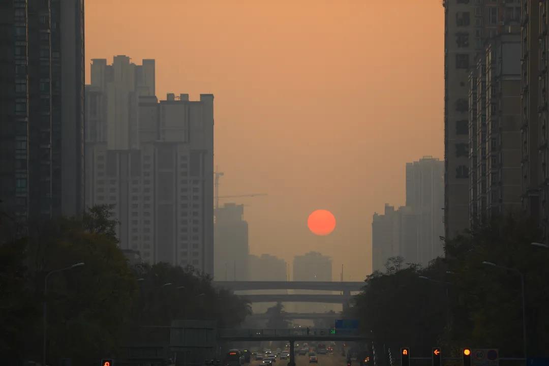 重磅！今后我省這些專業(yè)擬在一本招生